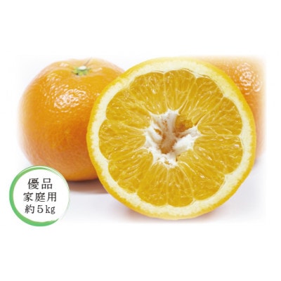 【2026年1月中旬から発送予定】いよかん<優品・家庭用>約5kg