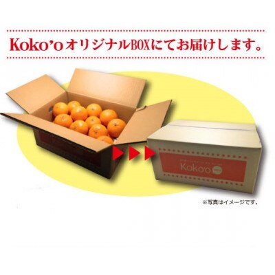 【2026年1月中旬から発送予定】いよかん<優品・家庭用>約5kg