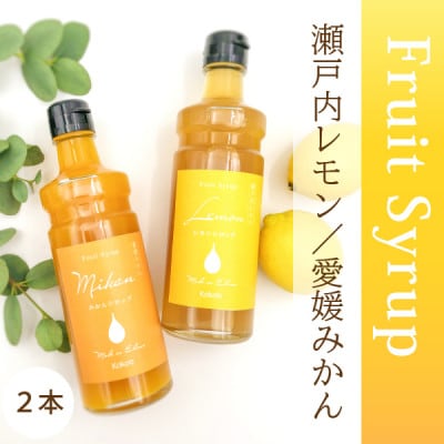 愛媛県産フルーツシロップ2本セット《みかん・レモネード》(簡易箱入り)