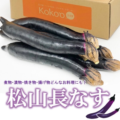 【6月下旬から発送予定】 松山 長なす　12本入り