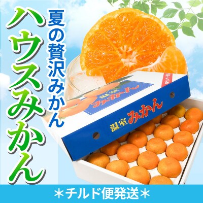 【2025年6月下旬から順次発送】ハウスみかん