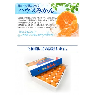 【2025年6月下旬から順次発送】ハウスみかん