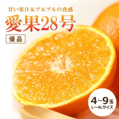 2025年【11月中旬頃から順次発送】愛果《優品》約1.8kg　4～9玉/L～4L