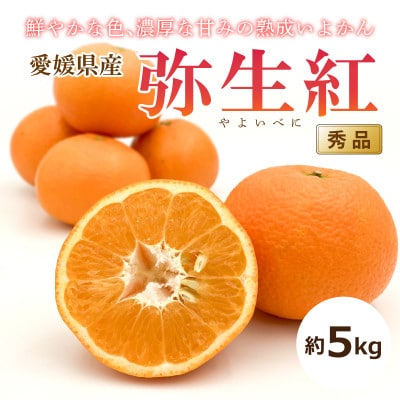【2026年2月上旬頃から発送予定】完熟いよかん～弥生紅～(秀品)約5kg