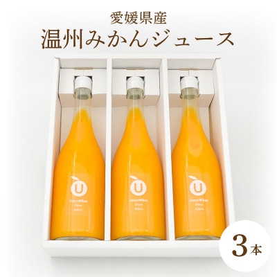 温州みかんジュース　3本セット