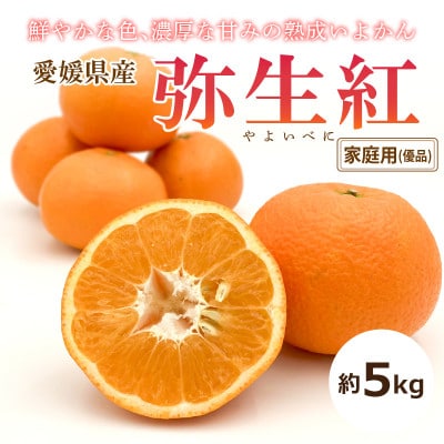 【2026年2月上旬頃から発送予定】完熟いよかん～弥生紅～(家庭用・優品)約5kg