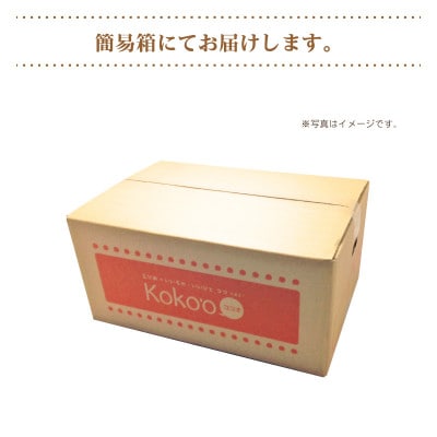 【2026年2月上旬頃から発送予定】完熟いよかん～弥生紅～(家庭用・優品)約5kg