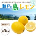 【2026年3月中旬頃から発送予定】瀬戸内海の島レモン(家庭用・優品)3kg