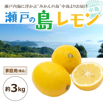 【2026年3月中旬頃から発送予定】瀬戸内海の島レモン(家庭用・優品)3kg