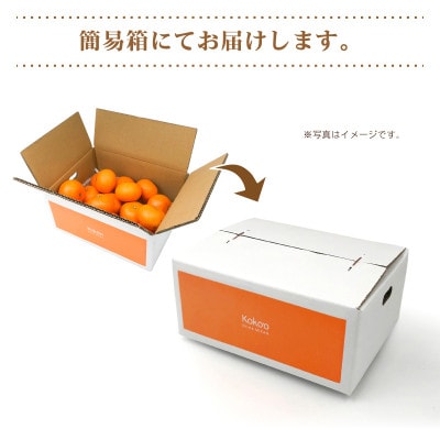 【2026年3月中旬頃から発送予定】きよみ(優品)約2.5kgと瀬戸内海の島レモン3玉入り