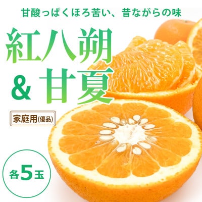 【2026年3月中旬頃から発送予定】晩柑食べ比べセット～紅八朔&甘夏～(各5玉)
