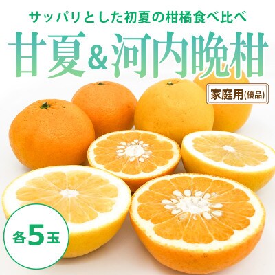 【2026年4月下旬頃から発送予定】初夏の食べ比べセット～甘夏&河内晩柑～(各5玉)