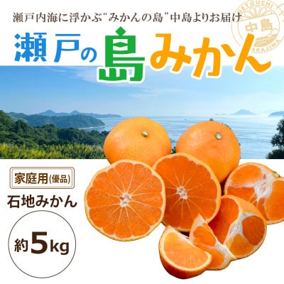 【2026年1月頃に発送予定】瀬戸内海の島みかん～石地みかん～(家庭用・優品)約5kg