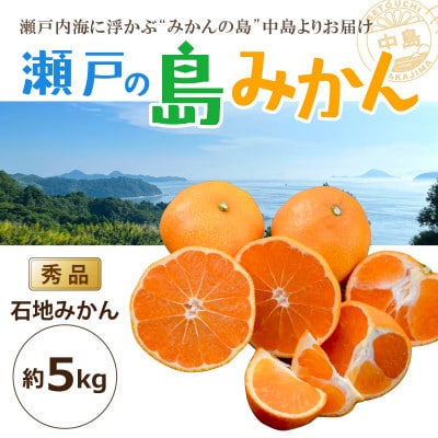 【2025年11月上旬から発送予定】瀬戸内海の島みかん～石地みかん～(秀品)約5kg