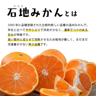 【2025年11月上旬から発送予定】瀬戸内海の島みかん～石地みかん～(秀品)約5kg
