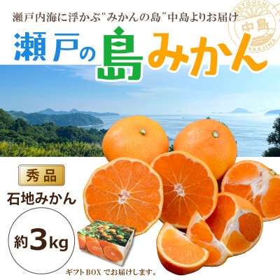 【2025年11月上旬から発送予定】瀬戸内海の島みかん～石地みかん～(秀品ギフトBOX)約3kg