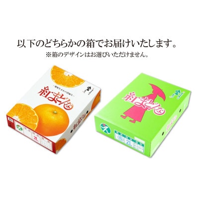 【2025年12月～1月頃から発送予定】紅まどんな(JA正規化粧箱入り)約3kg