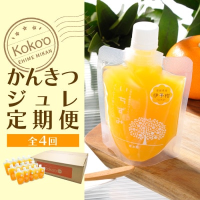 【発送月固定定期便】【年4回】かんきつジュレ定期便全4回