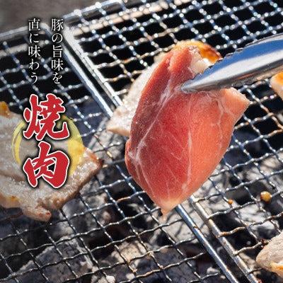 ＜お肉屋さんプレゼンツ＞希少な甘とろ豚の焼肉食べ比べ2種セット