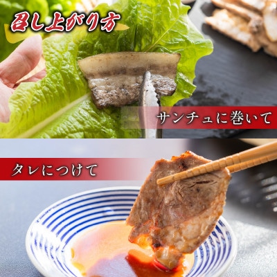 ＜お肉屋さんプレゼンツ＞希少な甘とろ豚の焼肉食べ比べ2種セット