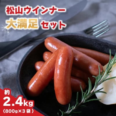 【ふるさと納税限定セット】松山ウインナー800g×3パック大満足セット