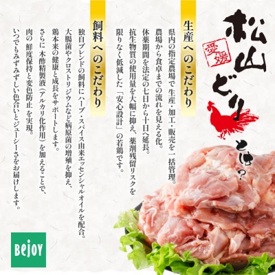 松山どり むね肉 2kg×2パック 計4kg