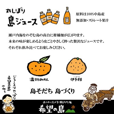 希望の島 みかんジュース 「丸しぼり果汁」 720ml×2本 化粧箱入り