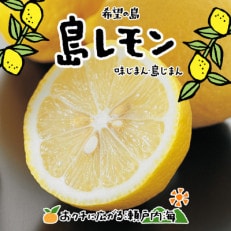 希望の島 レモン 3kg 愛媛 中島産