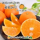 希望の島 愛果28号 特選品 大玉 約1.5kg(6玉)