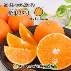 希望の島 愛果28号 訳あり品 2kg