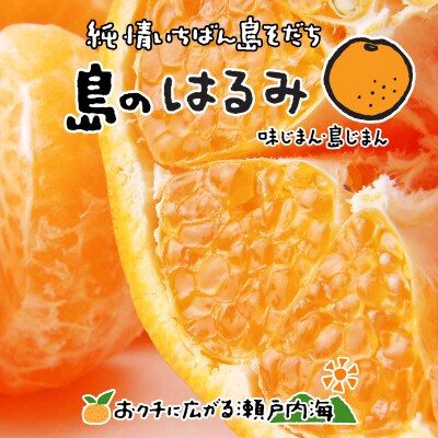 希望の島　はるみ　8kg
