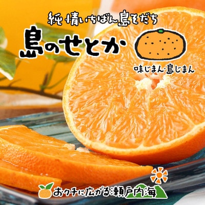 希望の島 せとか 家庭用 約3kg 愛媛 中島産
