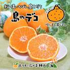 希望の島　不知火　8kg