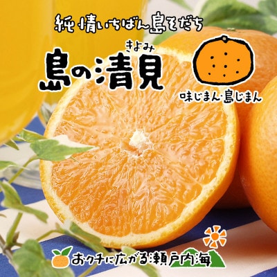 希望の島　清見タンゴール　4kg