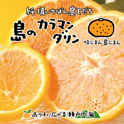 希望の島　完熟春みかん　3kg