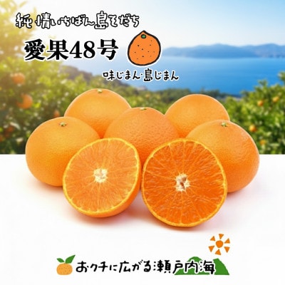 希望の島 愛果48号 家庭用 2kg 愛媛 中島産