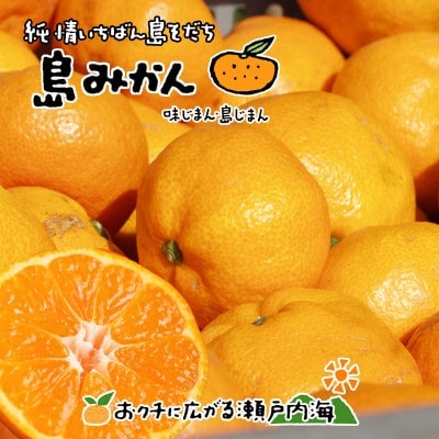 希望の島 温州みかん 家庭用 10kg 愛媛 中島産