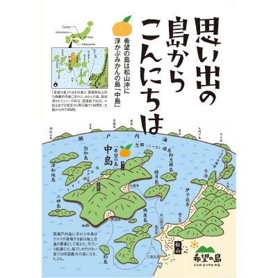 希望の島 温州みかん 家庭用 10kg 愛媛 中島産
