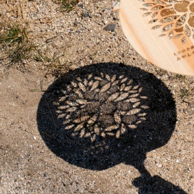 《みかんの木》愛媛の杉を使った木の透かしうちわ