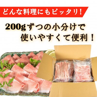 せと風ポーク 五明農場 ふれ愛・媛ポーク モモスライス 肩(ウデ)スライス 3.2kg (3)