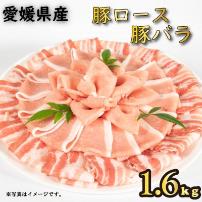 せと風ポーク 五明農場 ふれ愛・媛ポーク ローススライス バラスライス 1.6kg〈F〉