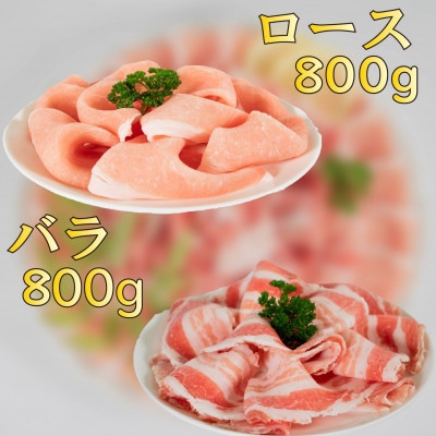 せと風ポーク 五明農場 ふれ愛・媛ポーク ローススライス バラスライス 1.6kg〈F〉