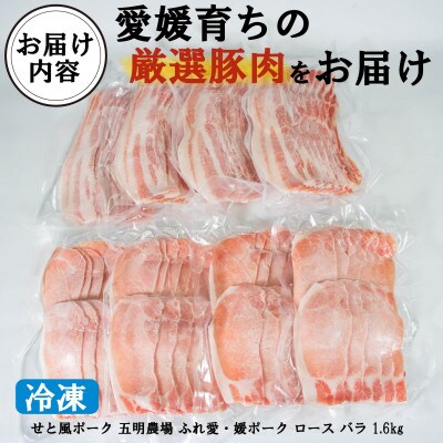 せと風ポーク 五明農場 ふれ愛・媛ポーク ローススライス バラスライス 1.6kg〈F〉
