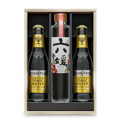 道後ジン　六媛・トニックセット(G6-200)