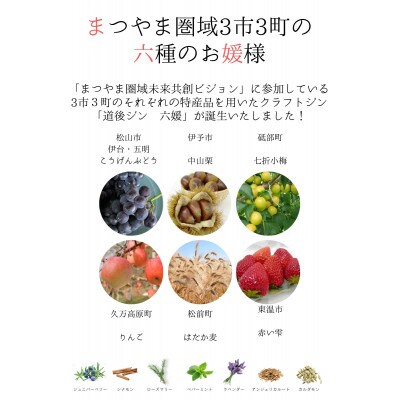 道後ジン　六媛・トニックセット(G6-500)