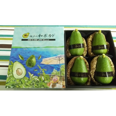 【11月中旬より発送】松山市産ギフト用オーガニックアボカド　1kg