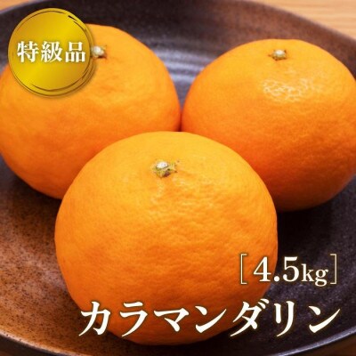 【4月下旬より順次発送】 先行受付 特級品 カラマンダリン 4.5kg