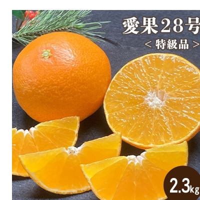 特級品 愛果28号 約2.3kg