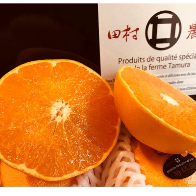 特級品 愛果28号 約2.3kg