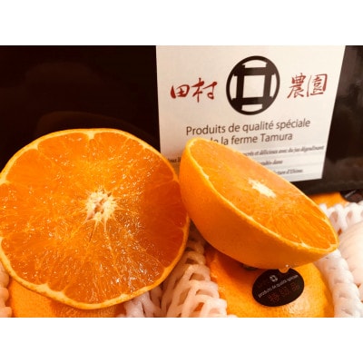 特級品 愛果28号 約3kg